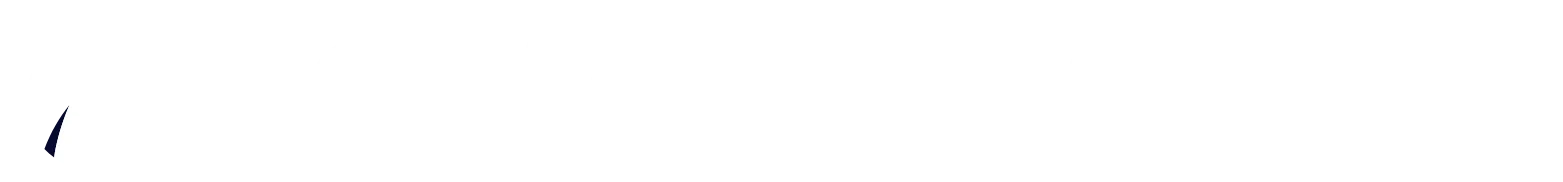 X Twitter Video Downloader