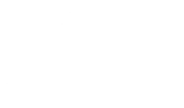 XDownloader